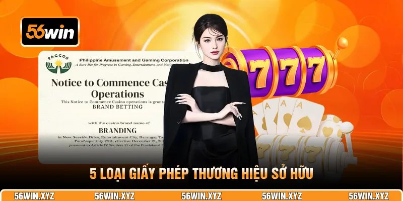 5 loại giấy phép thương hiệu sở hữu