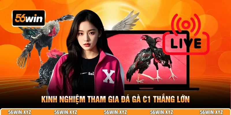Kinh nghiệm tham gia đá gà C1 thắng lớn