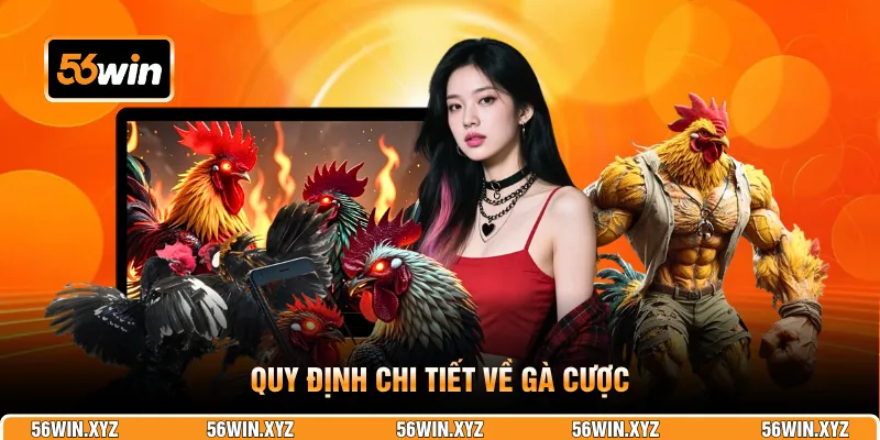 Quy định chi tiết về gà cược