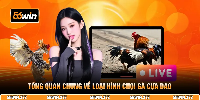 Tổng quan chung về loại hình chọi gà cựa dao